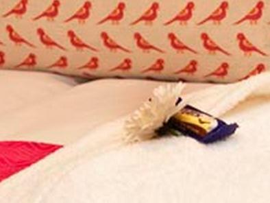 ヘッドランズ ハウス ゲスト ロッジ 写真