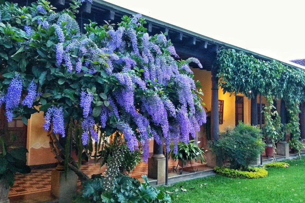 ホテル オーロラ 写真