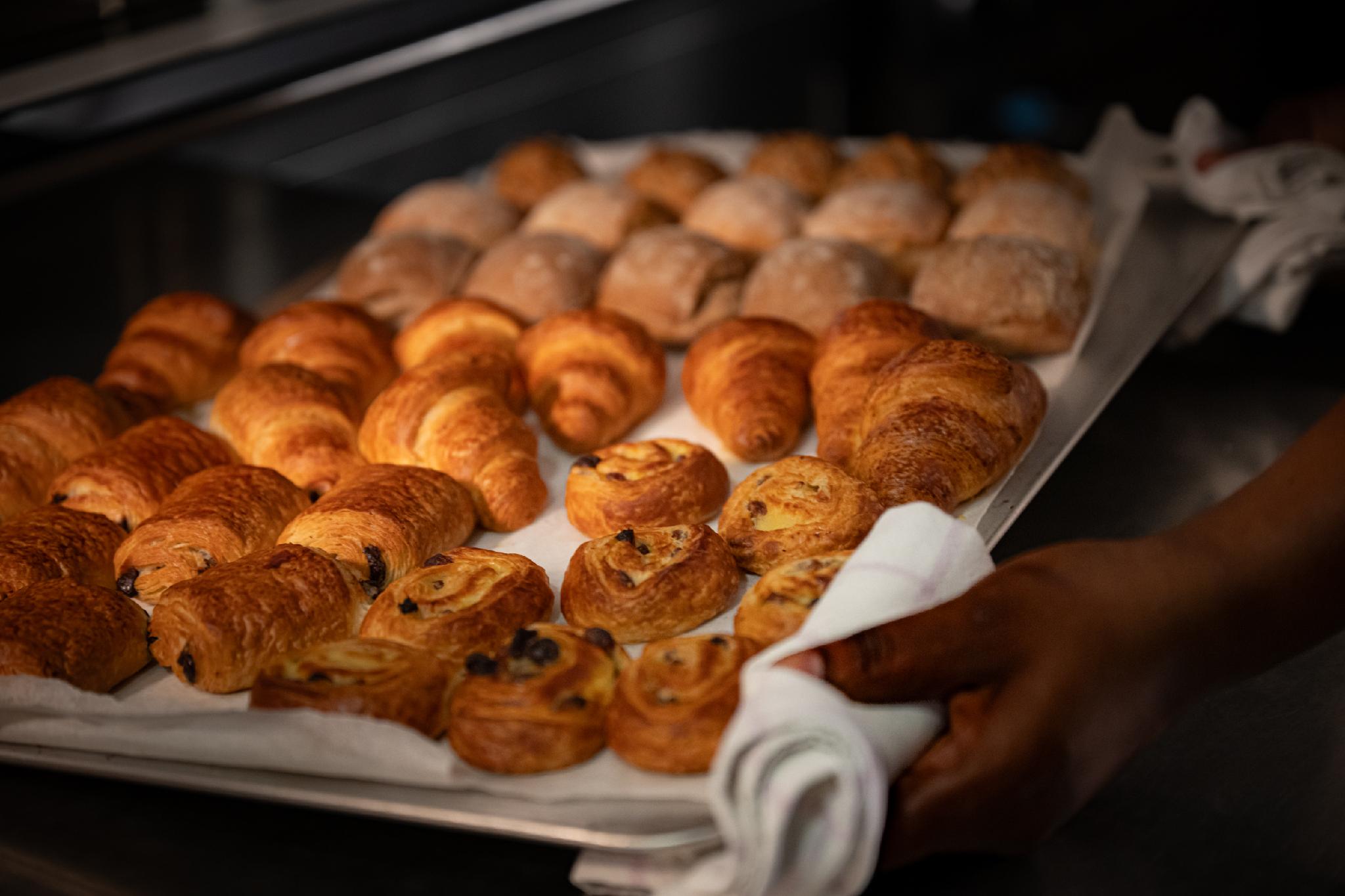 ホテル ドン カルロス パーク 写真