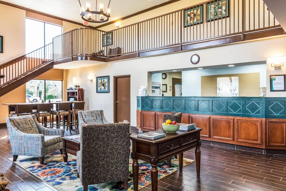 クオリティ スイーツ 写真