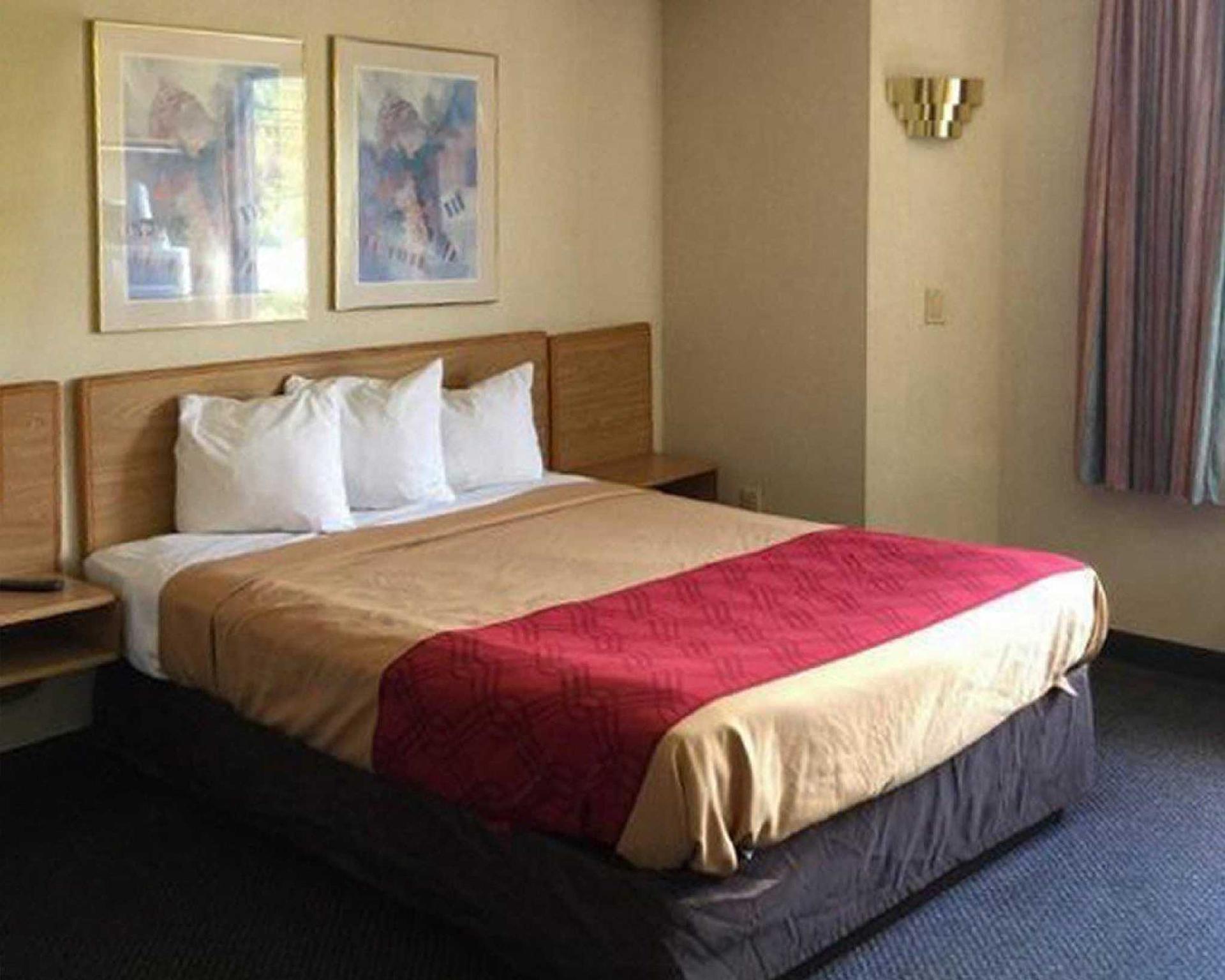 エコノ ロッジ ロンドン ノース 写真