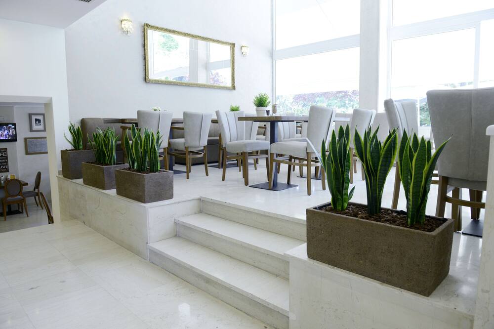 フィディアス ホテル 写真