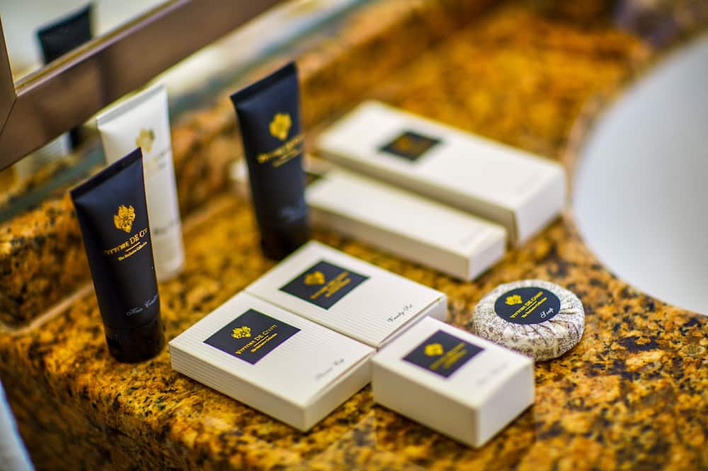 プラザ プラハ ホテル チェコ リーディング ホテルズ 写真