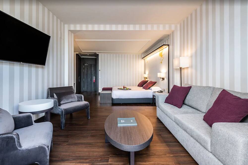 イントゥール パラシオ サン マルティン 写真