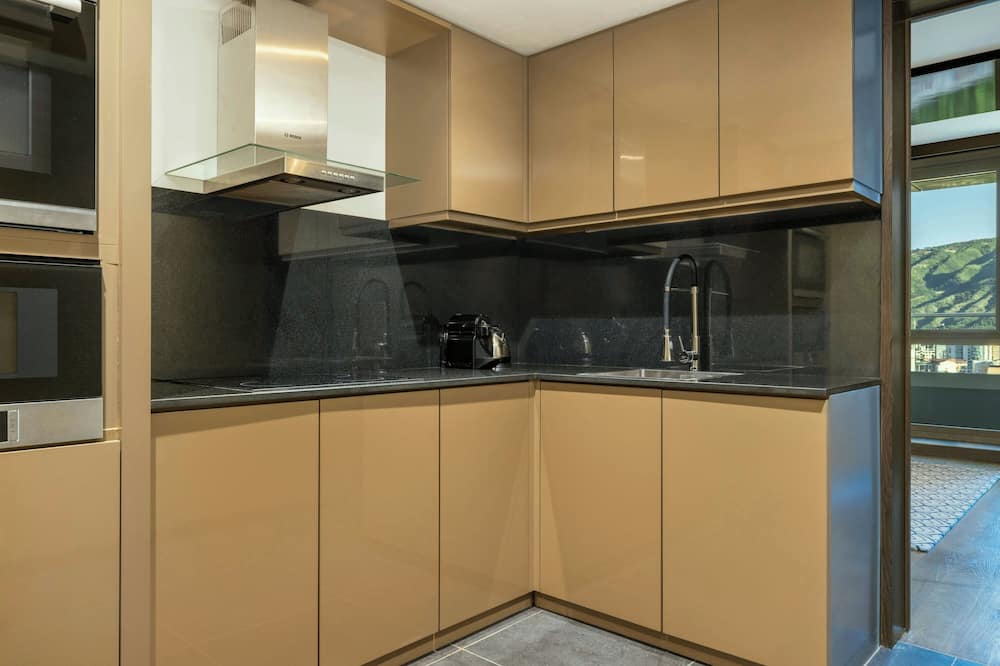 シェラトン グランド トビリシ メテヒ パレス 写真