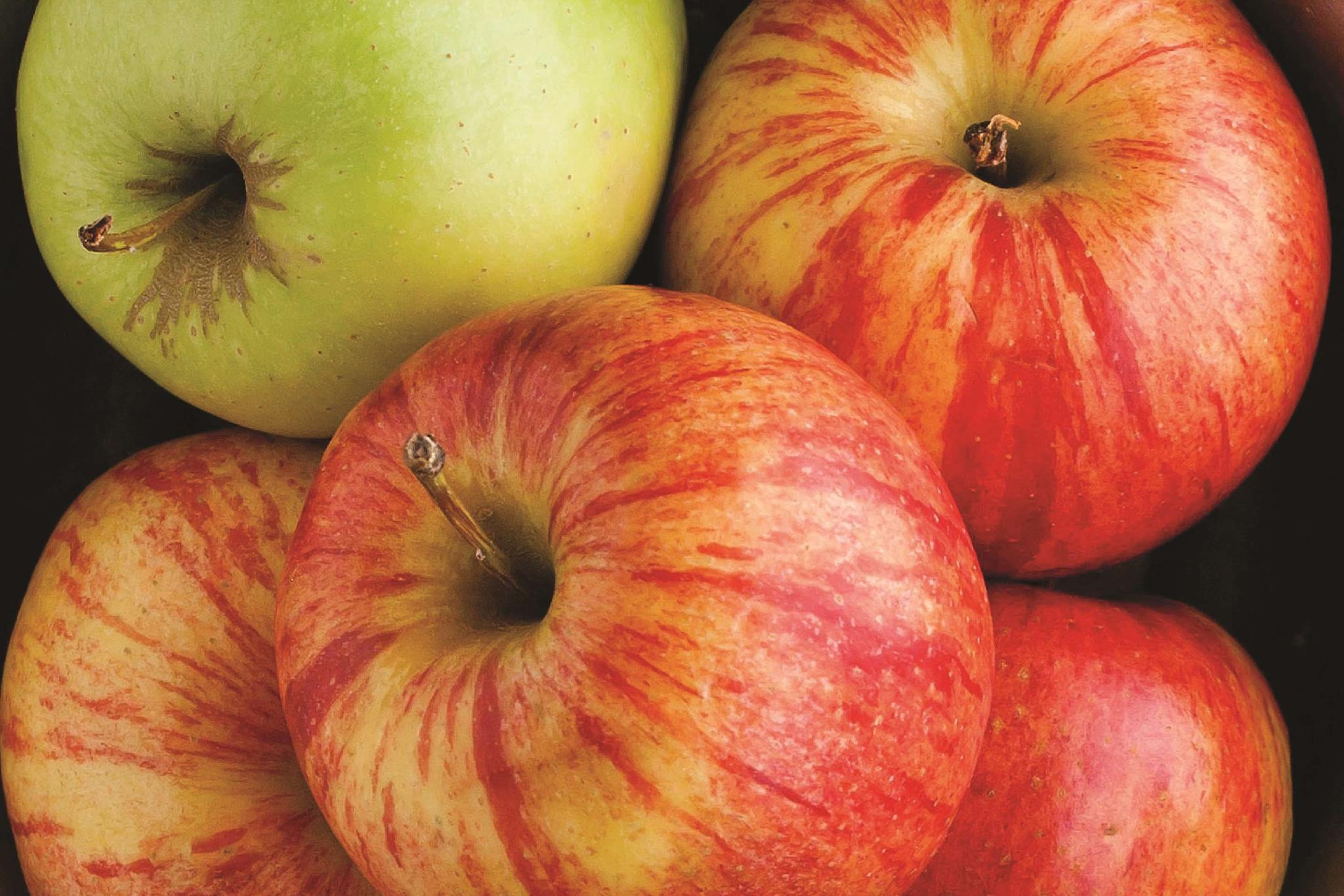 ラ キンタ イン & スイーツ バイ ウィンダム アトランタ エアポート ノース 写真