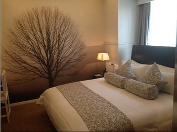 シアン ホテル ニュー 写真