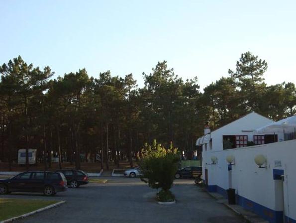 パルケ デ カンピスモ オルビトール シタヴァ ミルフォンテス 写真