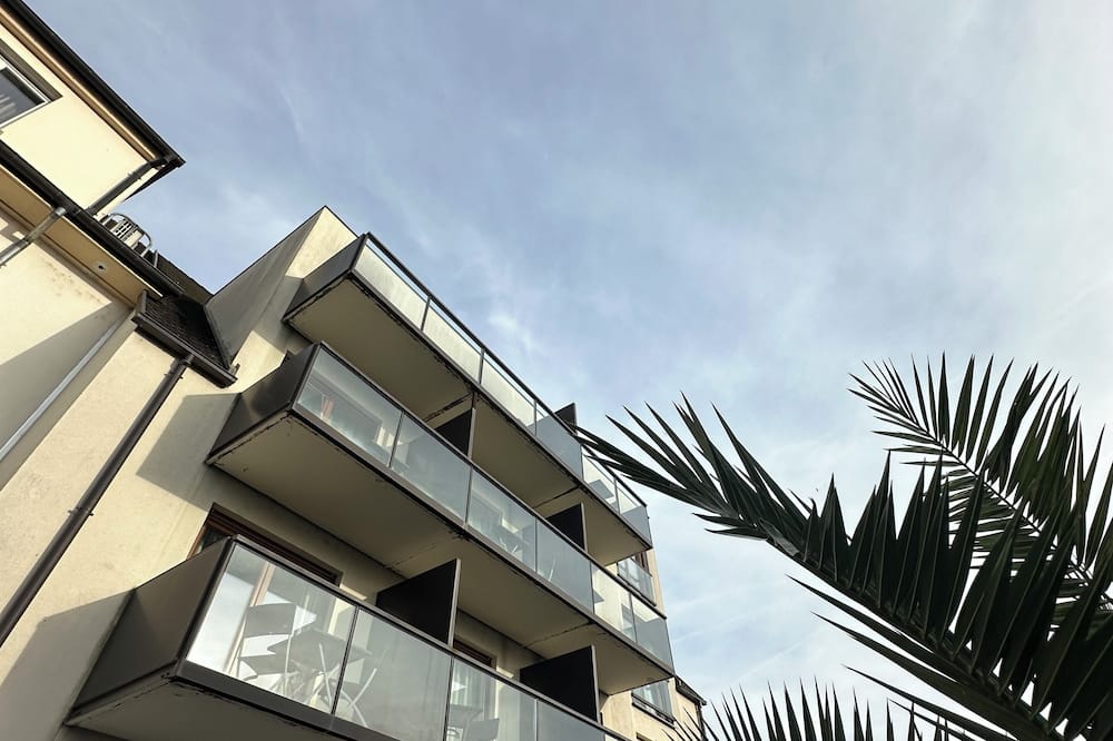 Hotel Au Nid De Cigognes 写真