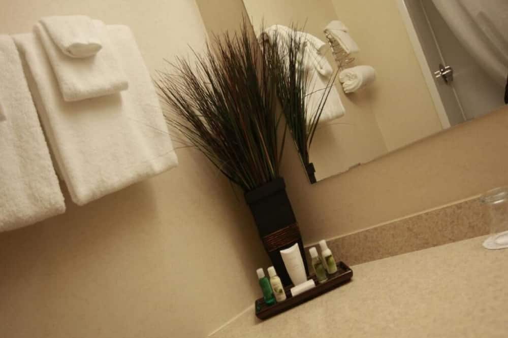 フューチャー インズ ハリファックス ホテル ＆ カンファレンス センター 写真