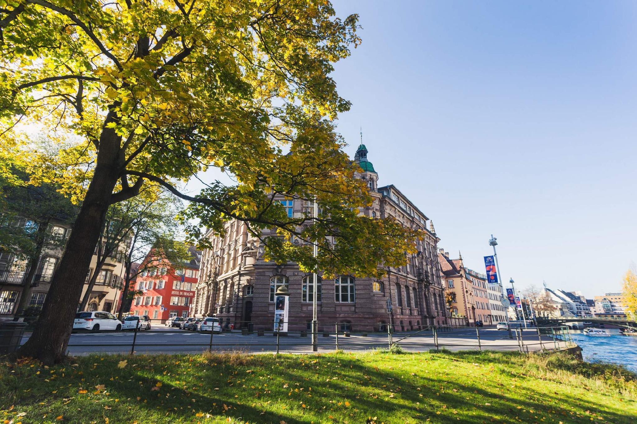 Hotel Du Dragon 写真