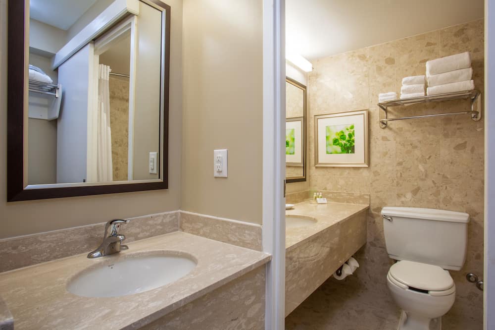 ホリデイ イン トロント インターナショナル エアポート バイ IHG 写真