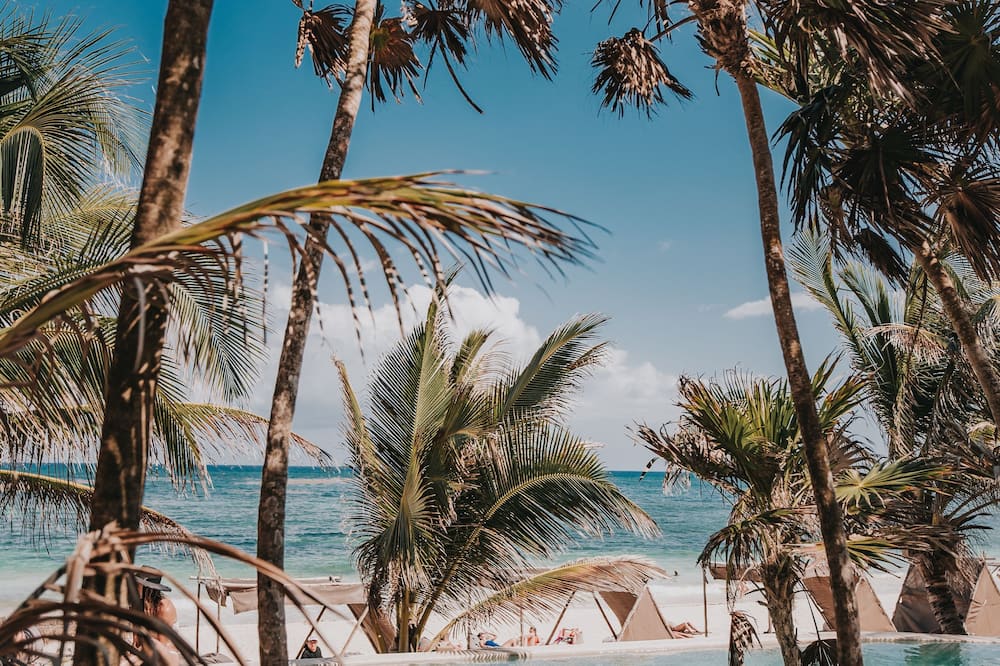 パパヤ プラヤ プロジェクト 写真