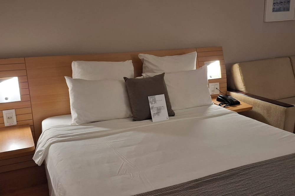 ノボテル RJ サントス ドゥモン オテル 写真