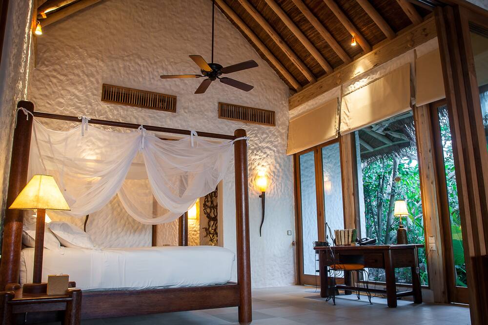 ソネバフシ 写真