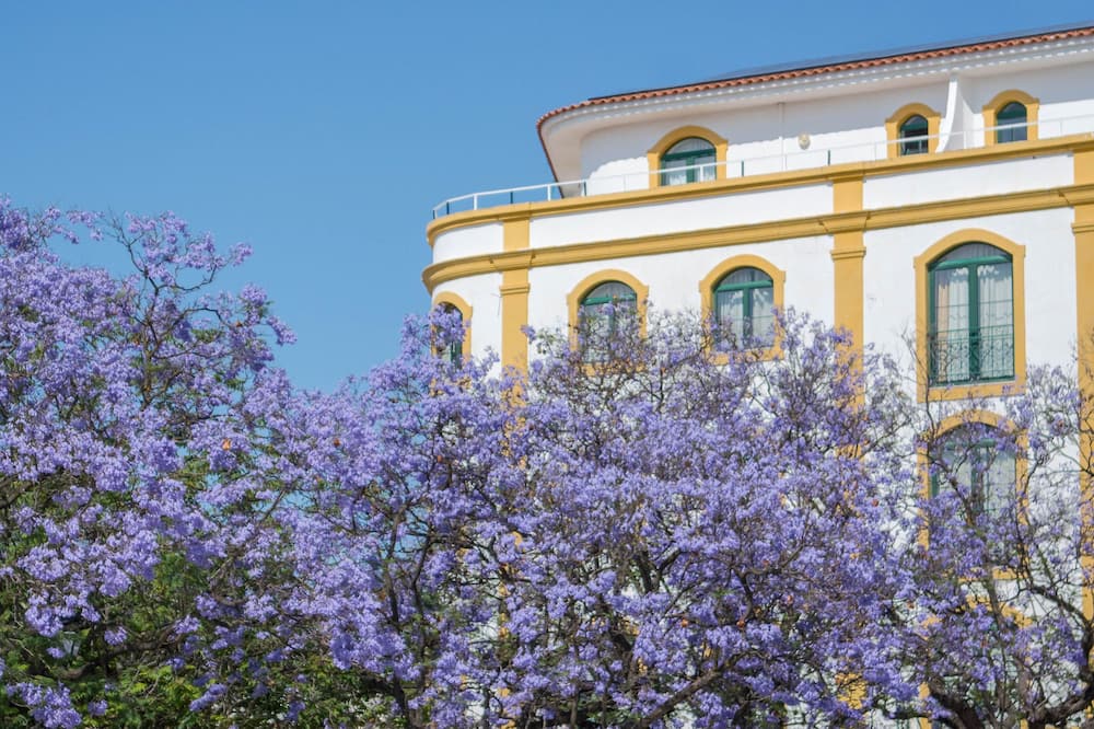 Loule Jardim Hotel 写真