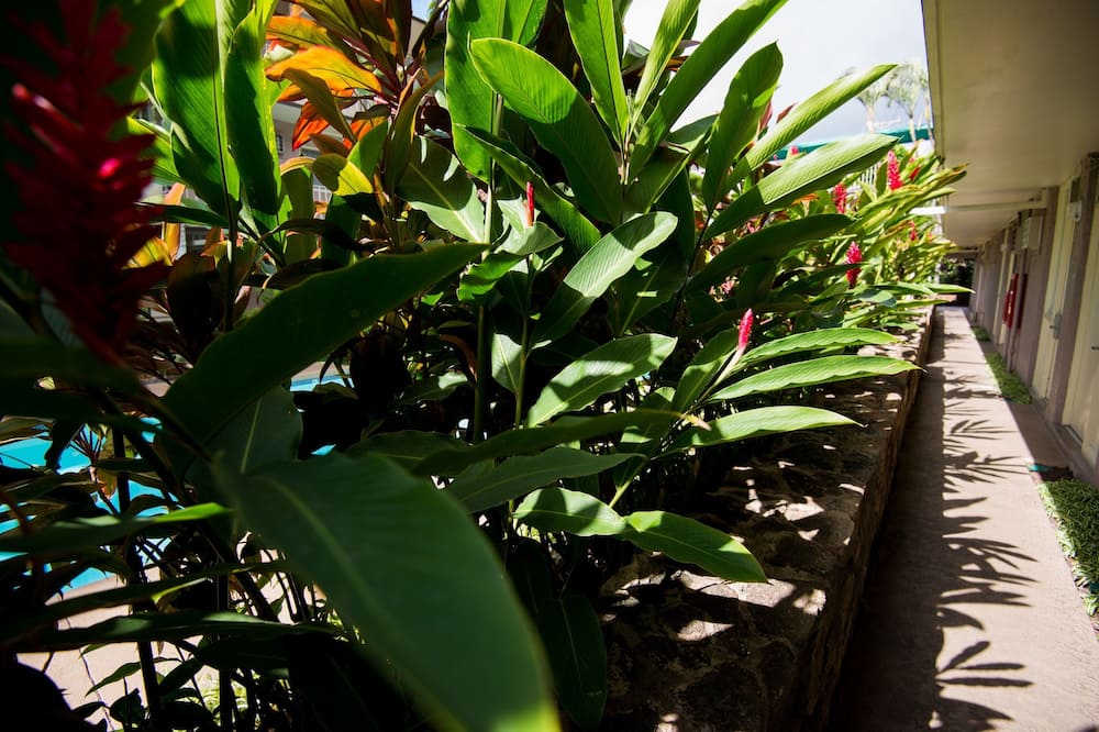 パシフィック マリーナ イン エアポート ホテル 写真