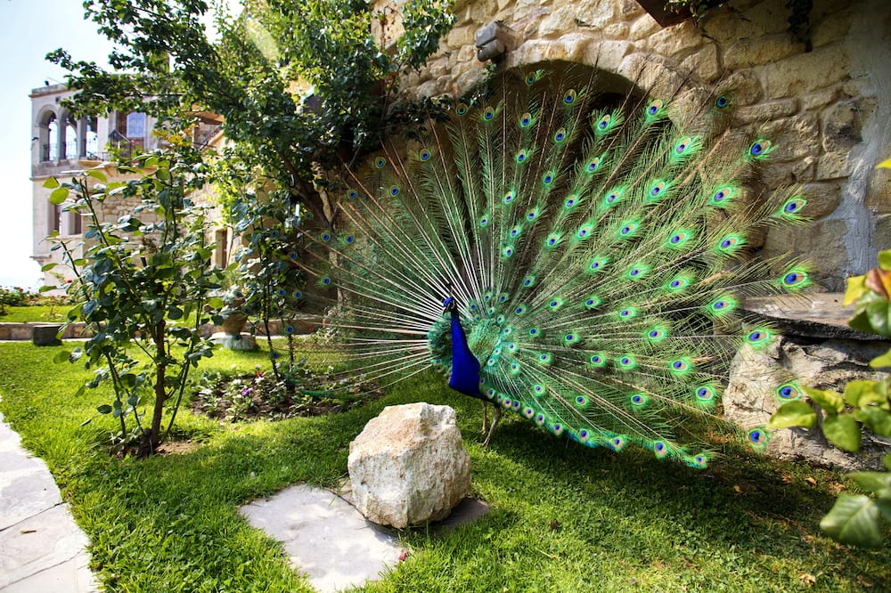 ミュージアム オテル - ルレ & シャトー 写真