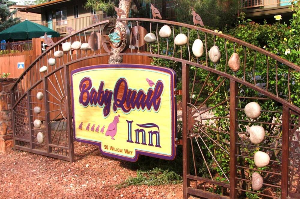 ベイビー クエイル イン 写真