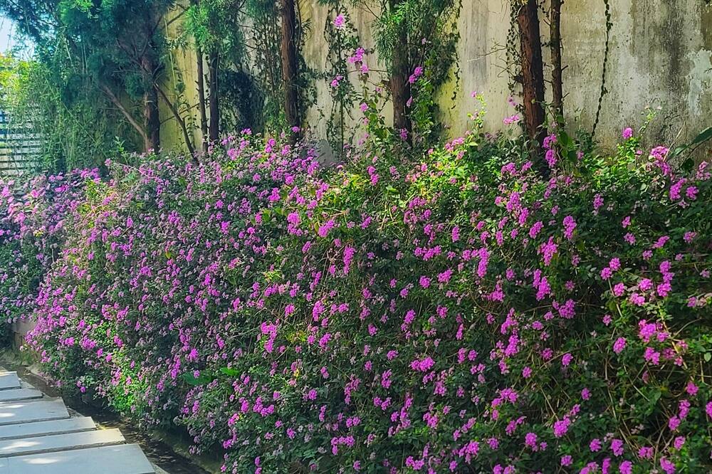 ザ ラックス ホテル ダラット 写真