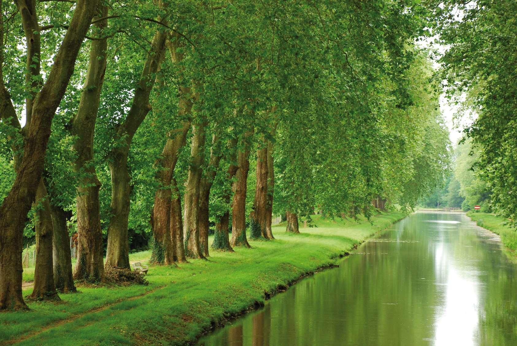 The Originals Boutique, Hôtel Roca-Fortis, Rochefort 写真