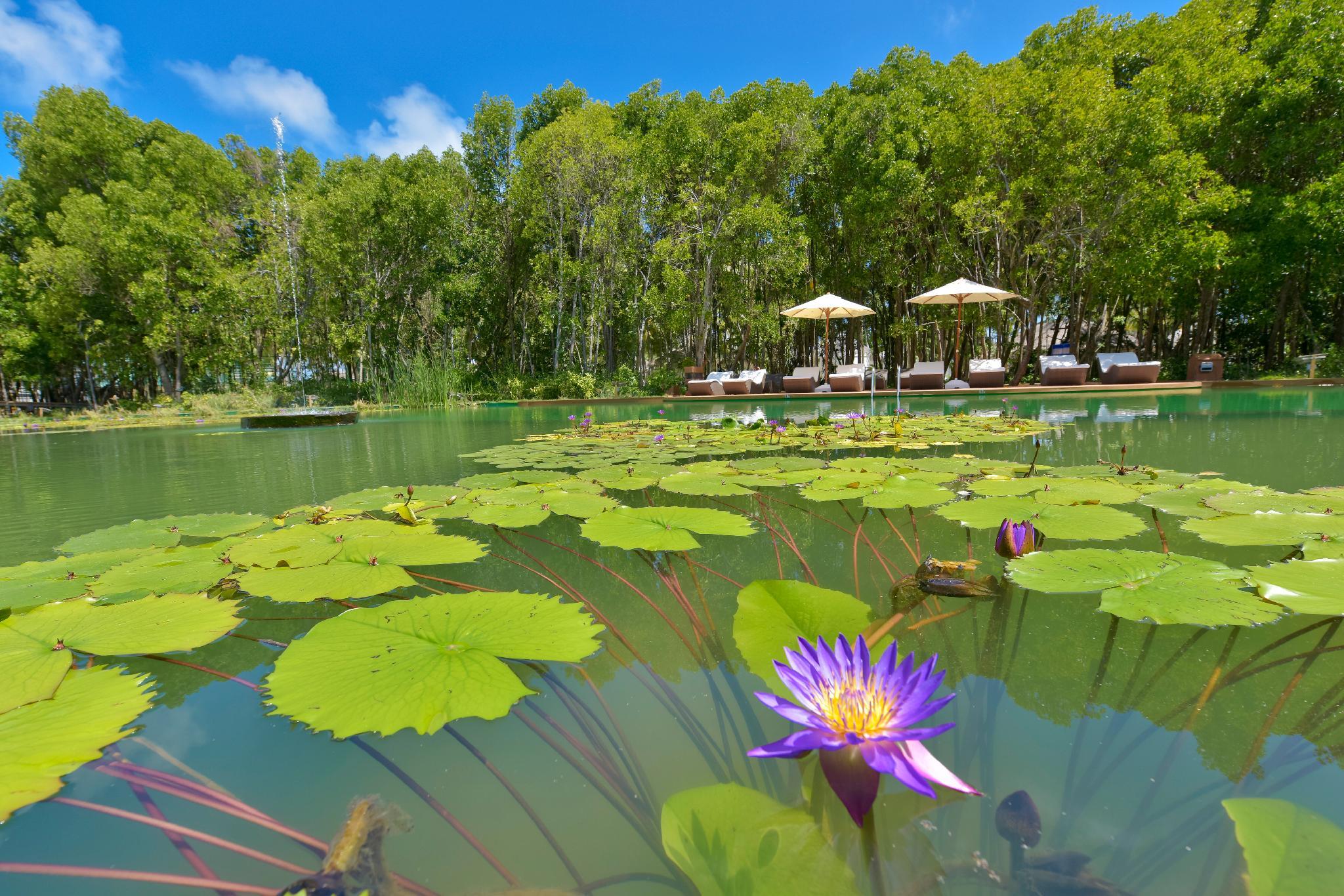 ドリームランド ザ ユニーク シー & レイク リゾート スパ アット バー アトール バイオスフィア リザーブ 写真