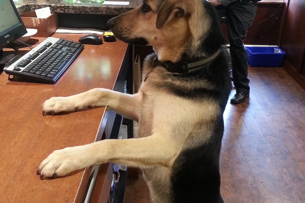 ザ シルビア ホテル 写真