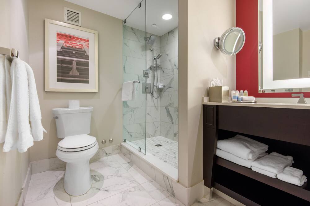 オムニ キング エドワード ホテル 写真