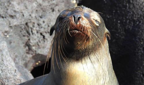 Cormorant Beach House 写真