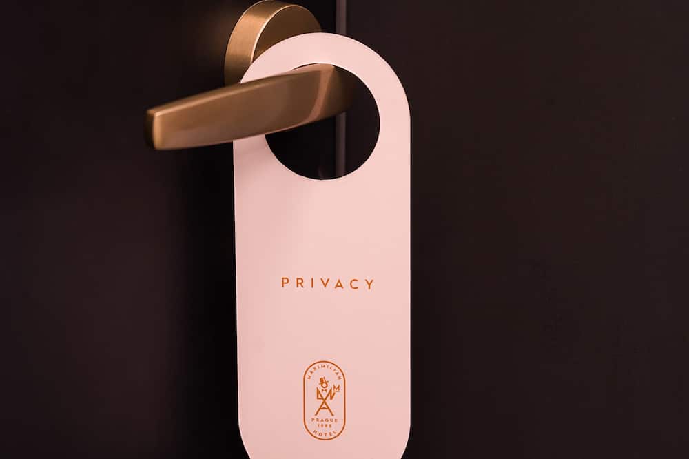 Maximilian Hotel 写真