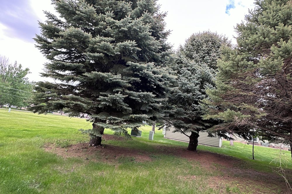 デ スメット スーパー デラックス イン アンド スイーツ 写真