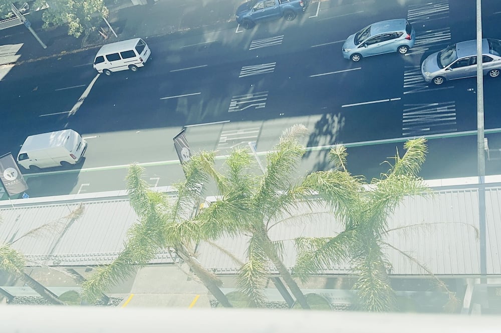 VR オークランド シティー 写真