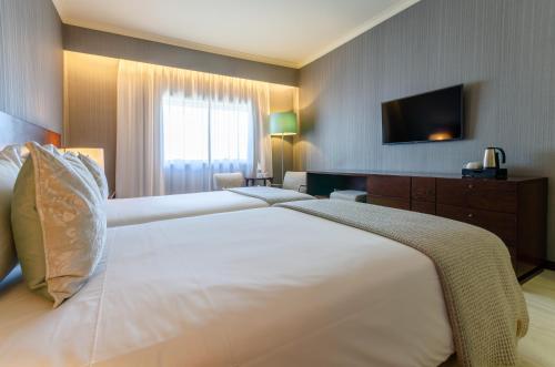 オリシッポ オリエンテ 写真