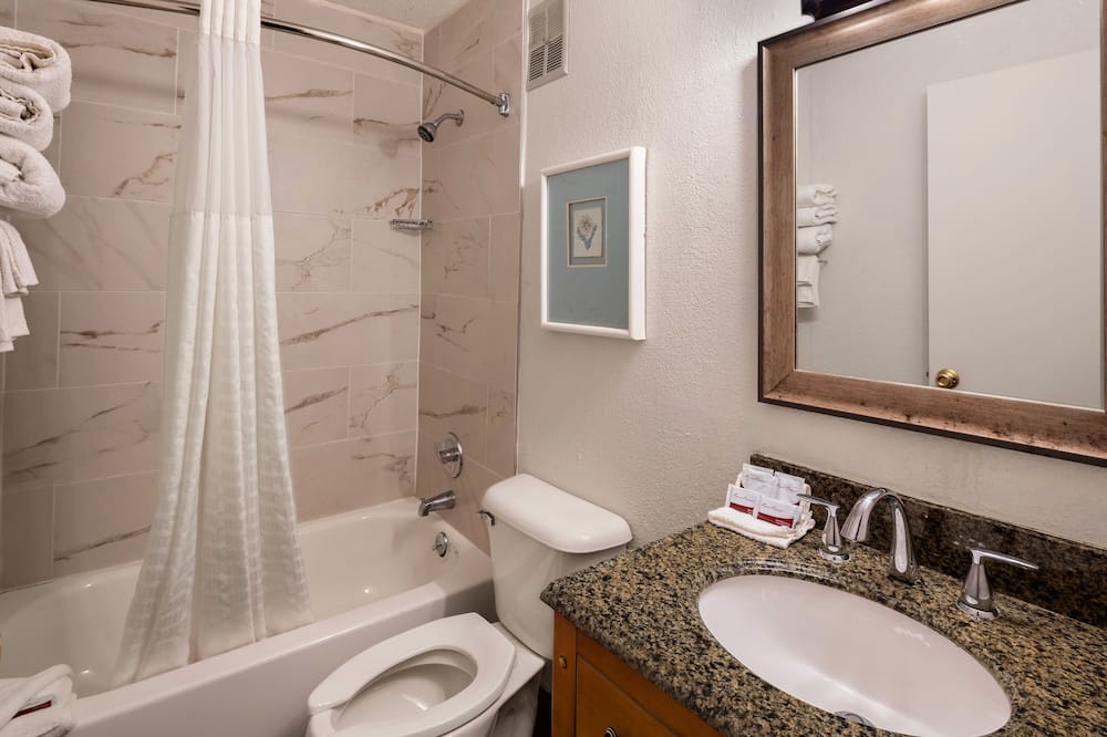 マグナソン ホテル デトロイト エアポート 写真