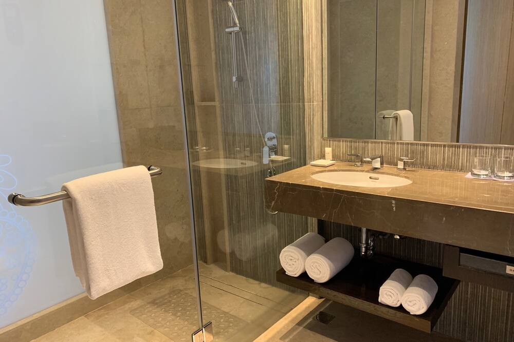 ハイアット リージェンシー アーメダバード 写真