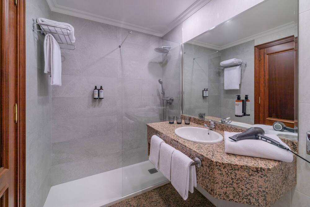 ホテル サンティアゴ プラザ アフィリエーテッド バイ メリア 写真