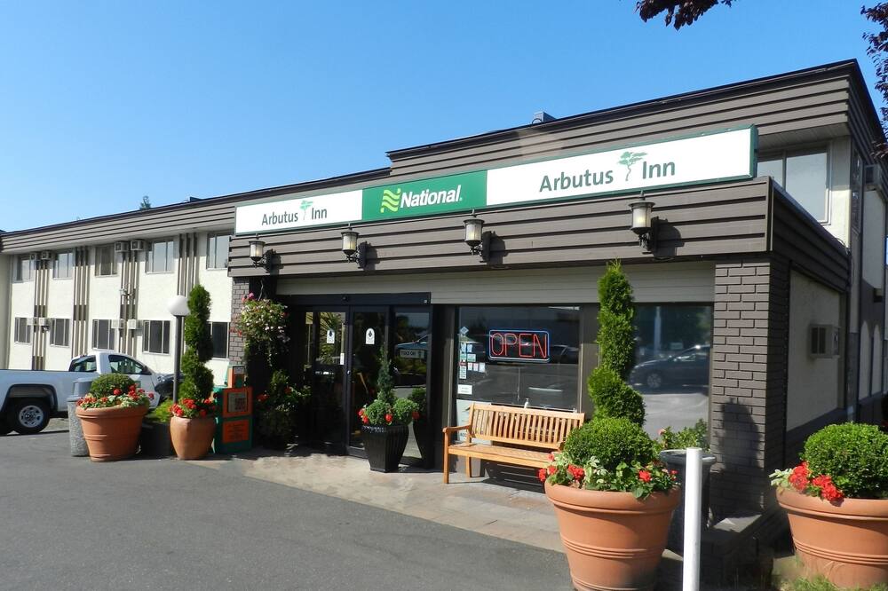 アルブトス イン 写真