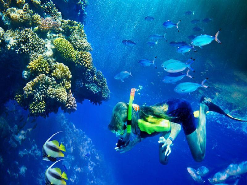 アスペクト セントラル モーテル 写真