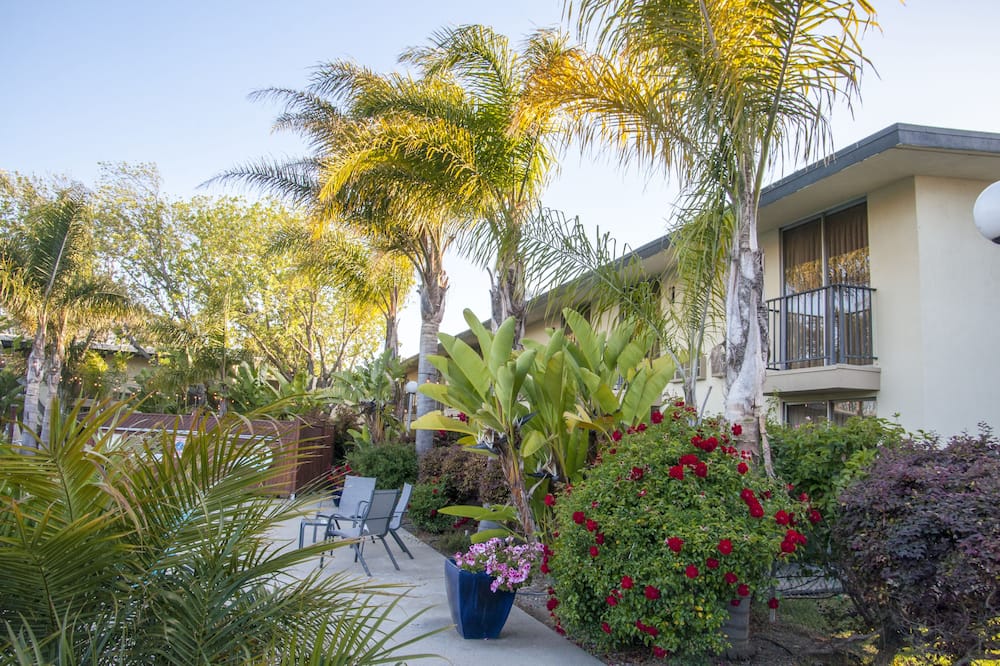 ホテル カジェ ホアキン 写真