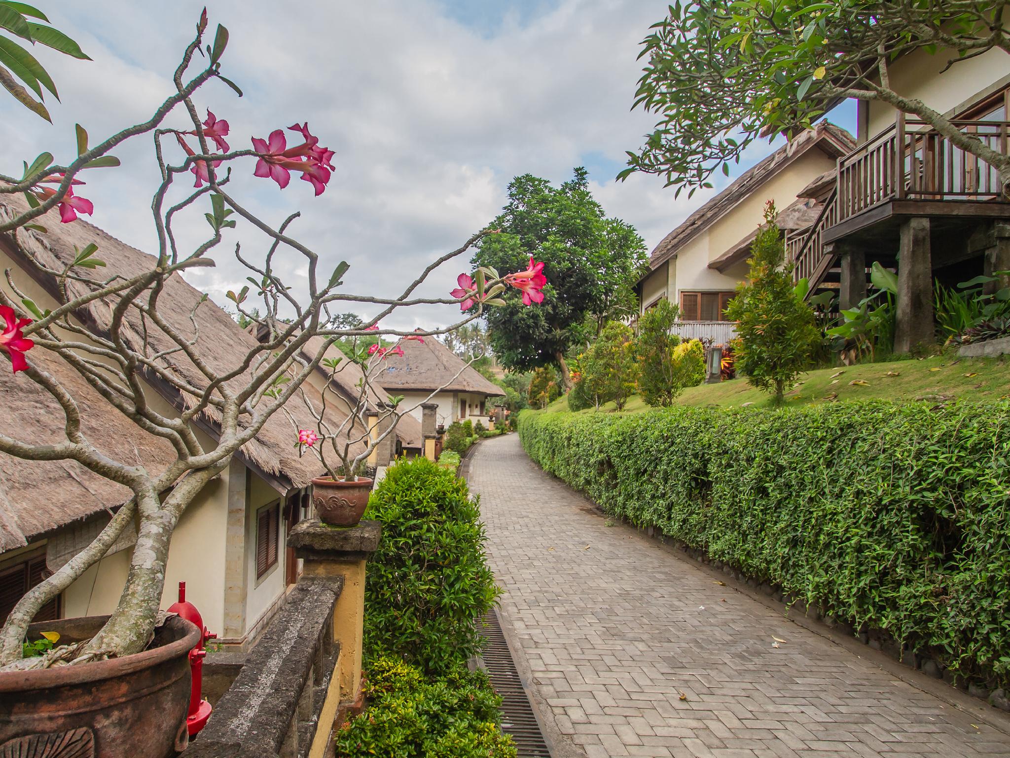 バリ マサリ ヴィラズ & スパ ウブド 写真