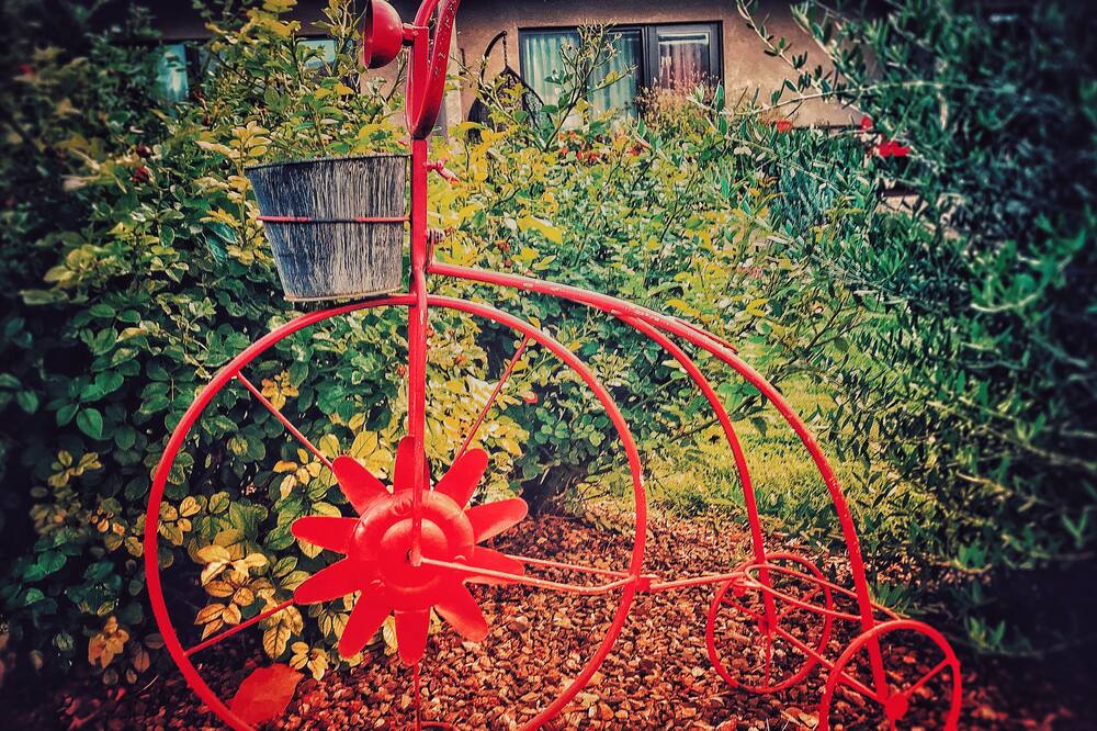 アラベラ ホテル セドナ 写真