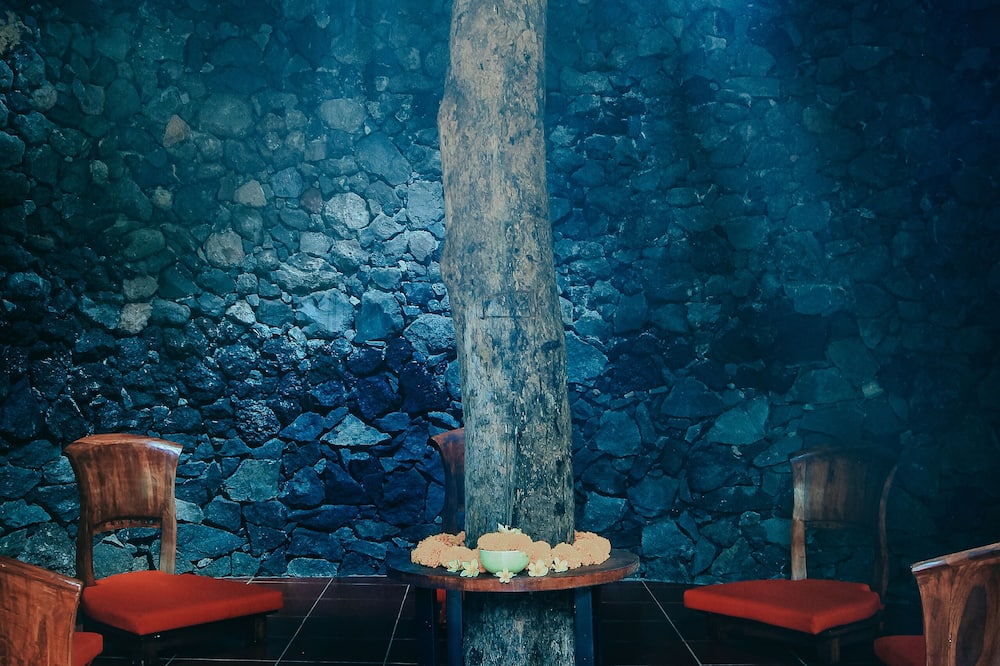 ビーイングサットヴァ ラグジュアリー ウブド 写真