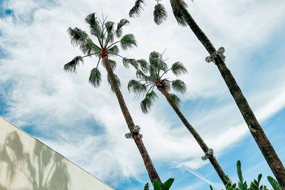 ザ ビバリー ヒルトン 写真