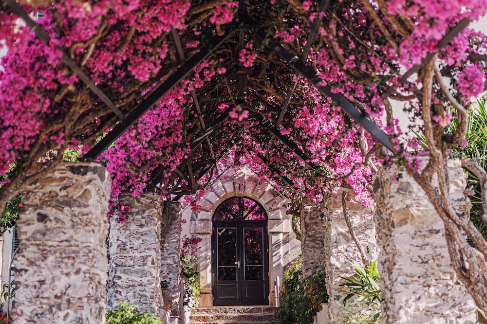 サン ドメニコ パレス 写真