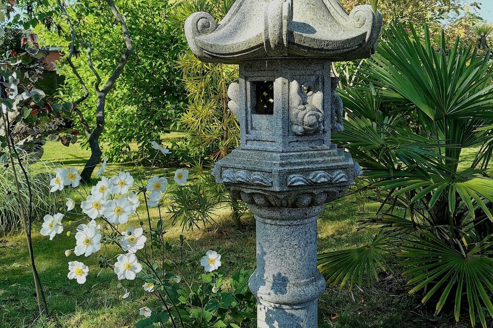 リトル デイン コート 写真