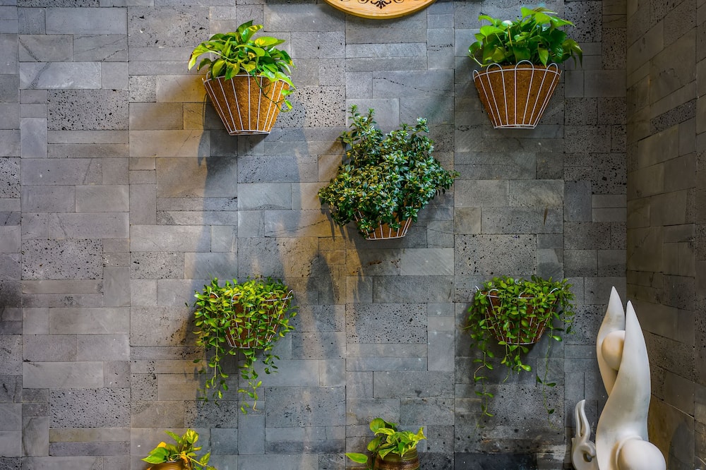 カニ ビーチ ハウス 写真