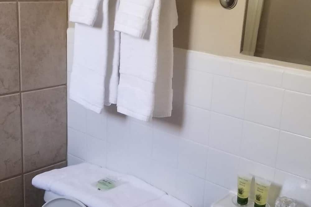 レイク パウエル キャニオン イン 写真