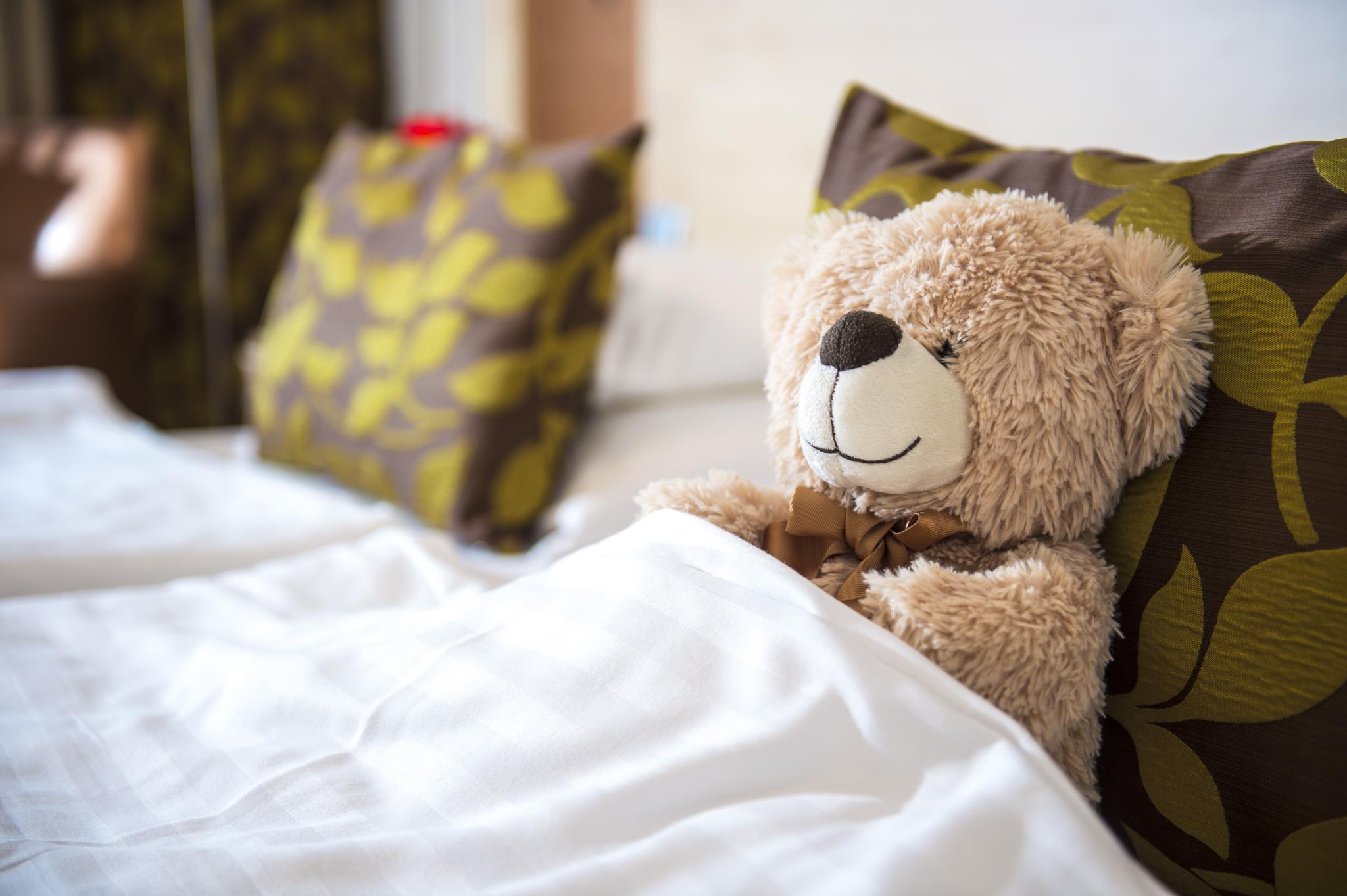 ホテル ショプロン 写真