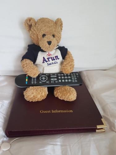 アルン サンズ 写真