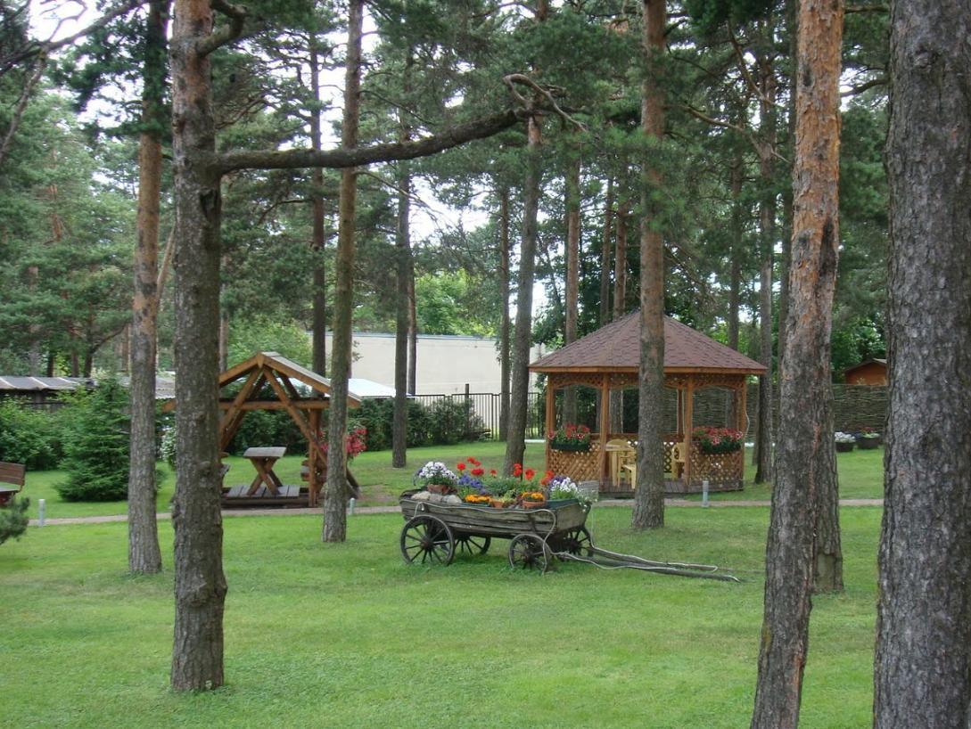 ホテル ジンゲル 写真